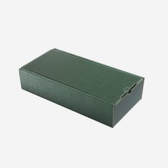 Geschenkkarton Außenwelle, grün, 380/180/85