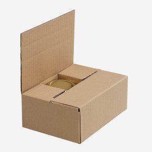Verpackungskarton für 6x Zyl-167, Zyl-125, Fac-154
