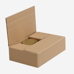 Verpackungskarton für 6x Fac-106, Sec-106
