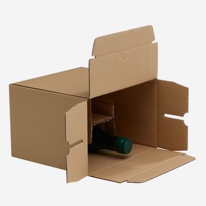Verpackungskarton für 6x 0,25l Steiermarkölflasche