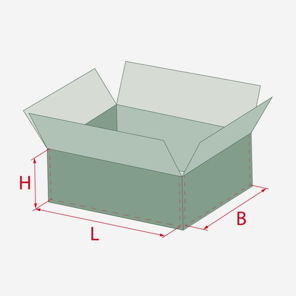 Verpackungskarton für 12x 1,0l Fruchtsaftflaschen