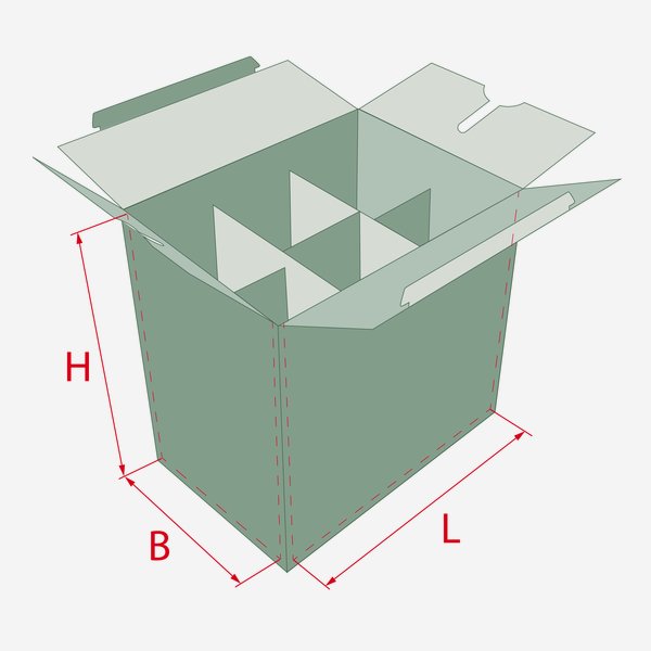 Verpackungskarton für 6 Flaschen Pla-500