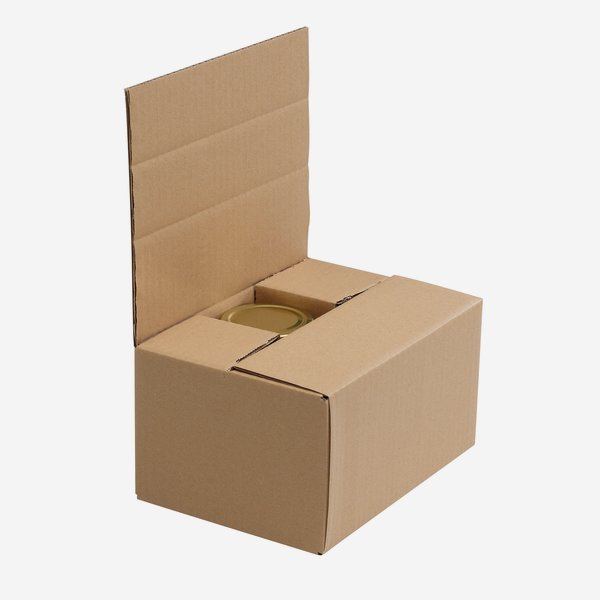 Verpackungskarton für 6x Zyl-390, Fac-370, Vit-314
